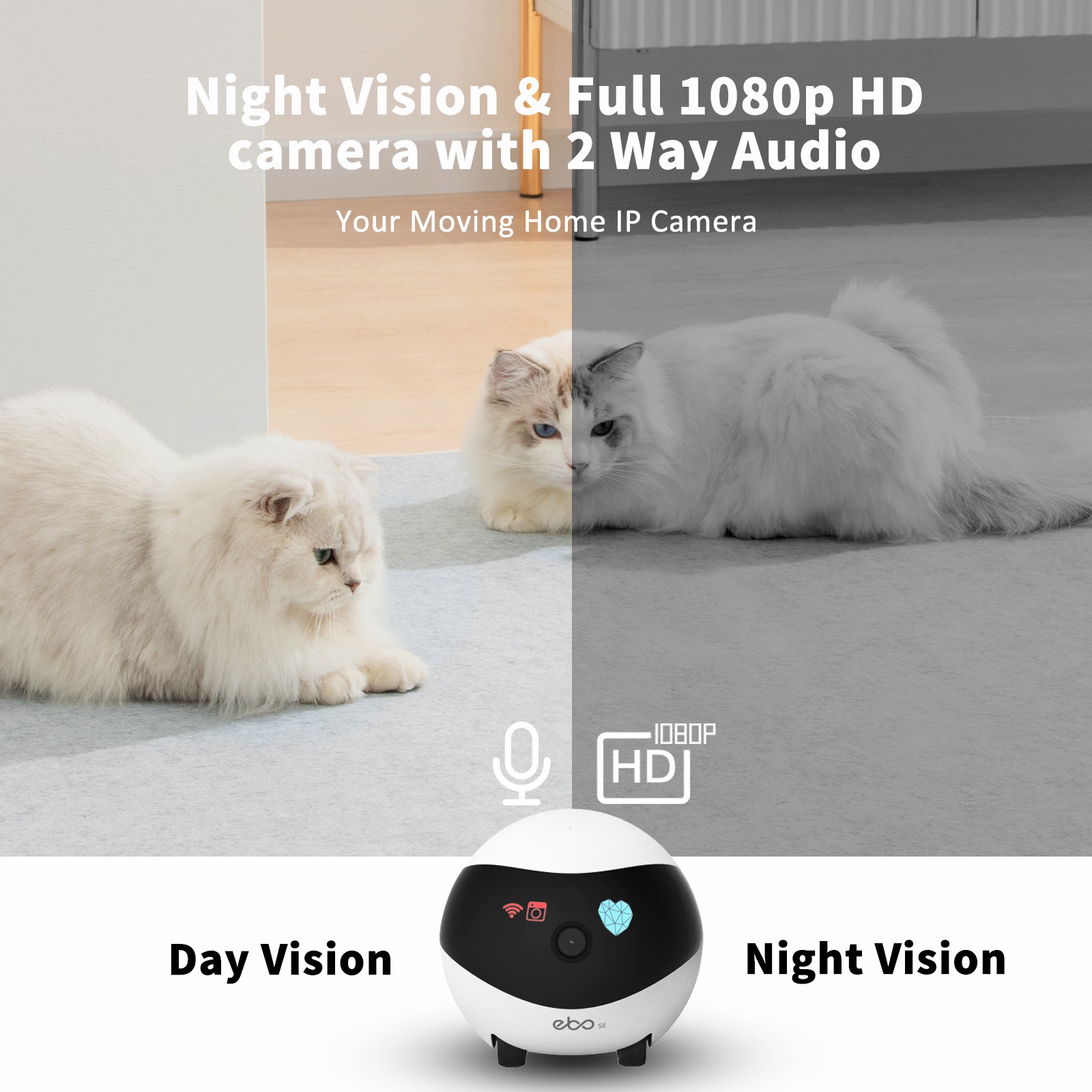 EBO SE Smart Home Robot Compan - Home Security Robots recension och pris