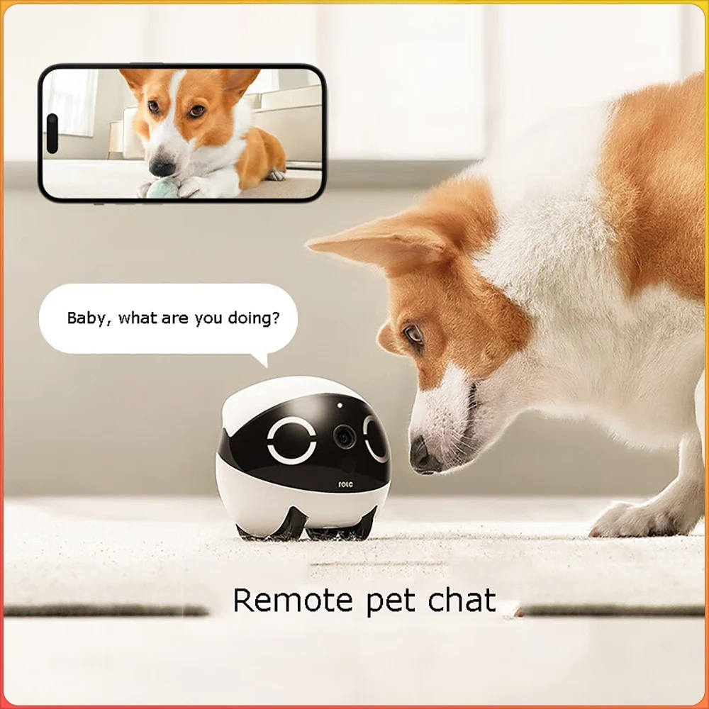 Home Security Pet Tumbler Desi - Home Security Robots recension och pris