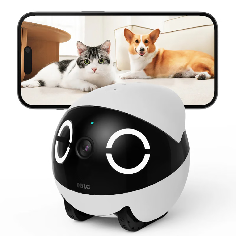 Home Security Pet Tumbler Desi - Home Security Robots recension och pris