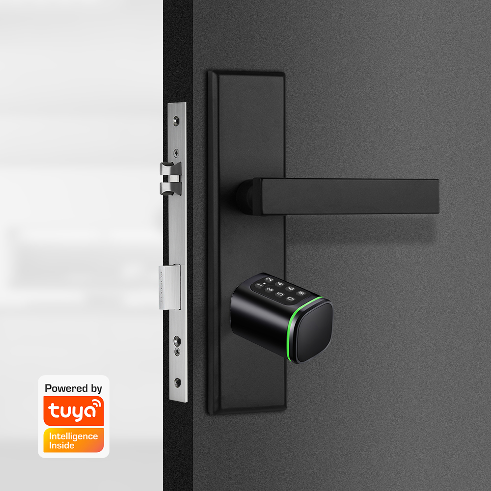 Smart Cylinder Lock Tuya 60-90 - Home Security Keypad recension och pris